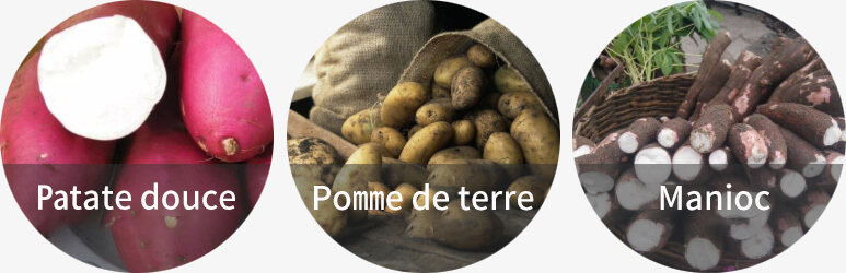 Prix du séparateur de fécule de pomme de terre nouvelle