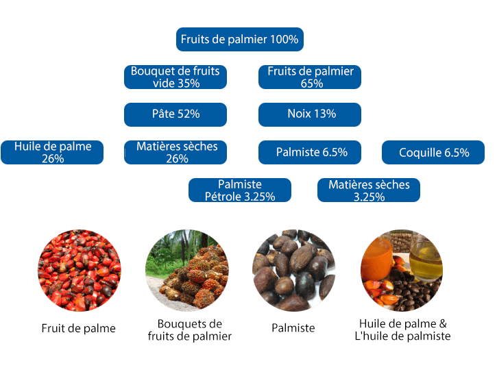 Équipement de traitement de l'huile de palme